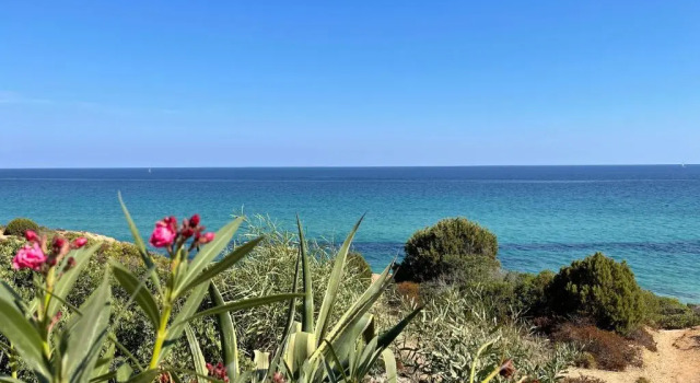 Апартаменты Villa Pinus Village