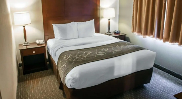 Номер Standard Comfort Suites Elgin Northwest