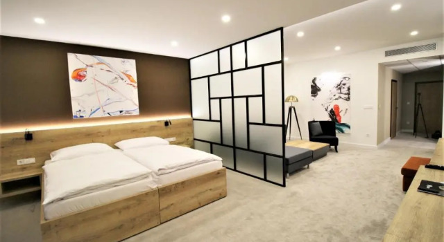 Двухместный номер Executive Hotel Magnus Trenčín