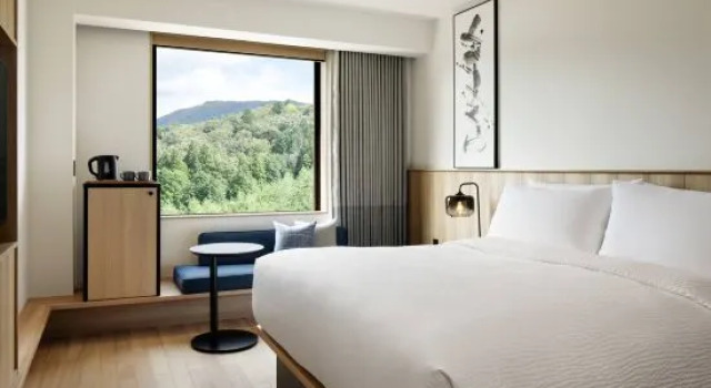 Одноместный номер Standard Fairfield by Marriott Kyoto Kyotamba