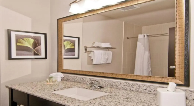 Двухместный номер Standard Holiday Inn Austin Airport by IHG