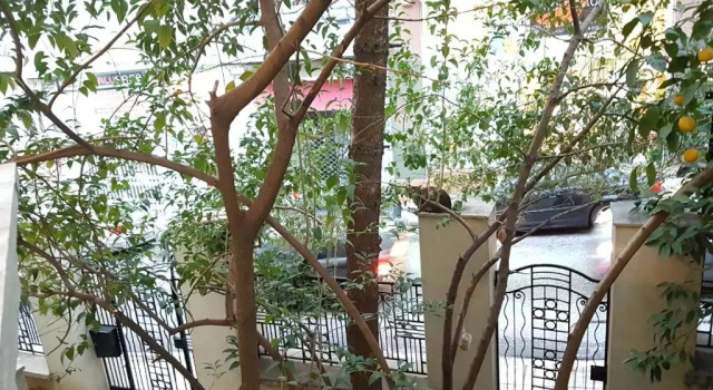 Коттедж Errathens Aegean Apartment - Athens Center, 5 BD, 2 BATH