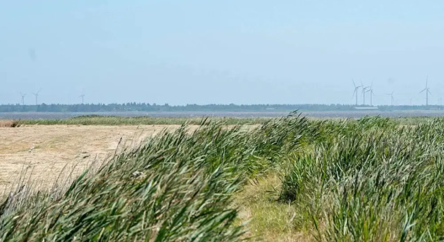 8 Person Holiday Home in Ulfborg-by Traum, Réserver Hôtel Hôtels à Vestjylland avec parking, Parking