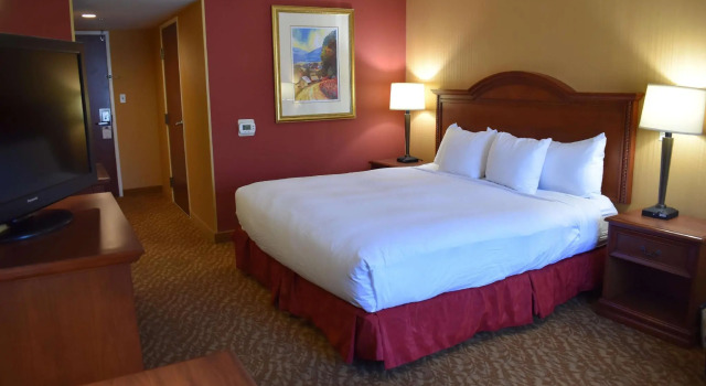 Двухместный номер DoubleTree by Hilton Biltmore/Asheville