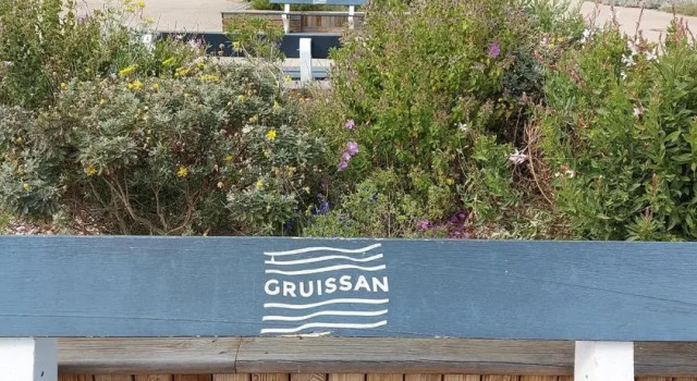 Gruissan Holidays, Rezerwuj Apartament Gruissan Corbières