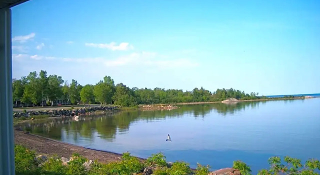 Номер Standard с видом на озеро Carolyn Beach Inn