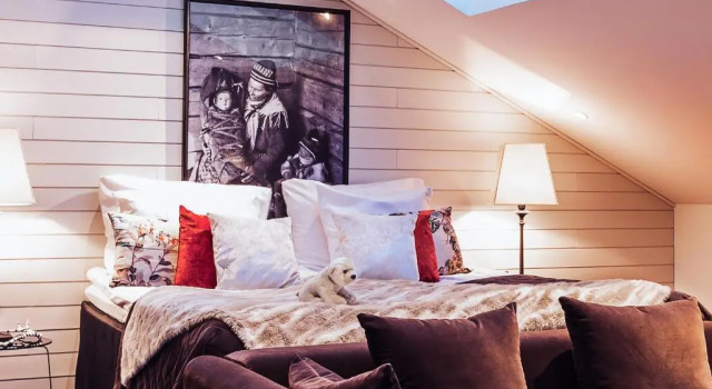 Двухместный номер Aurora Loft Arctic Light Hotel