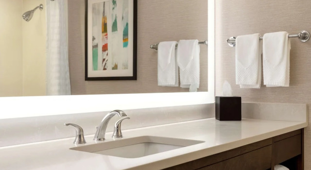 Люкс 2 Bath Sky с 2 комнатами Embassy Suites by Hilton Baltimore at BWI Airport