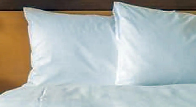 Run of House Holiday Inn Express & Suites Bellevue -Omaha Area- by IHG