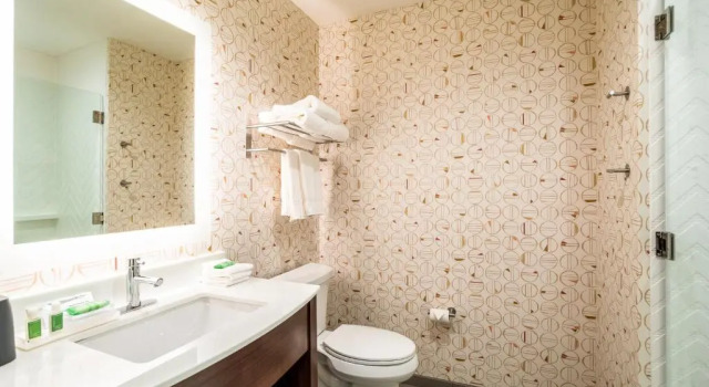 Номер Standard с красивым видом из окна Holiday Inn Columbia - Downtown by IHG