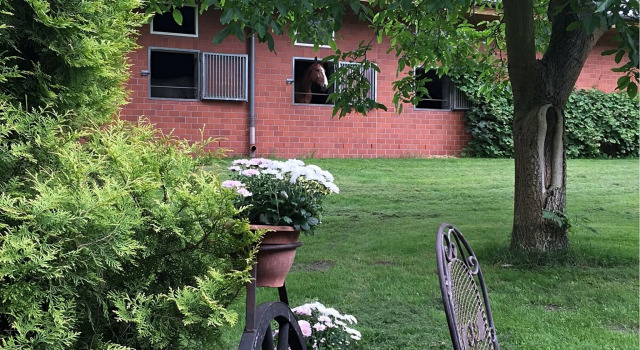 Коттедж Ferienhaus in Kirchdorf mit Reiterhof