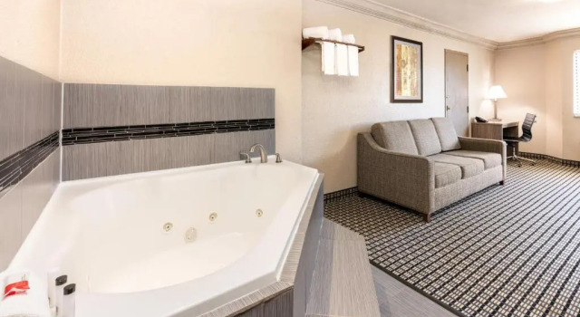 Двухместная студия люкс Deluxe Red Lion Inn & Suites Houston IAH Airport