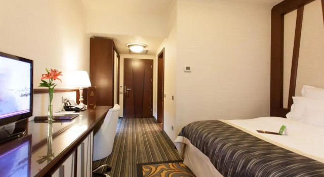Одноместный номер Standard Metropolis Hotel