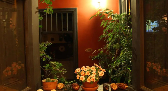 Кровать в общем номере KACLLA, The Healing Dog Hostel
