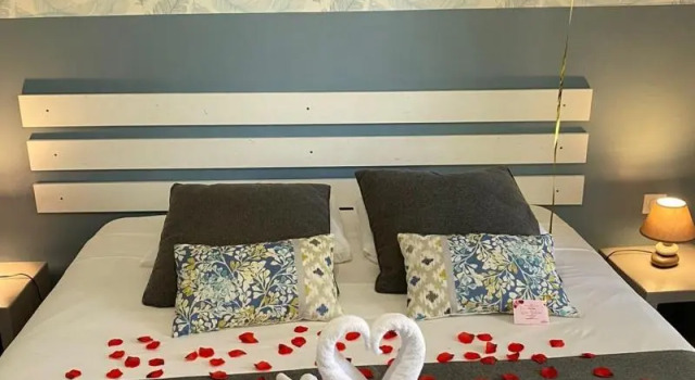 Двухместный номер Standard Hôtel Exsel Ermitage