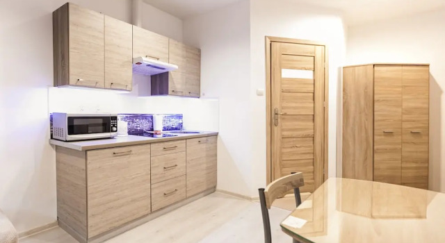 Студия Apartamenty Sun & Snow Karpacz Skalna
