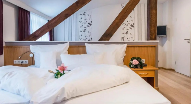 Номер Superior Wellness- & Sporthotel Haus am See