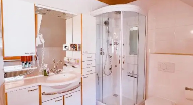 Двухместный номер Economy Sylpaulerhof Aparthotel