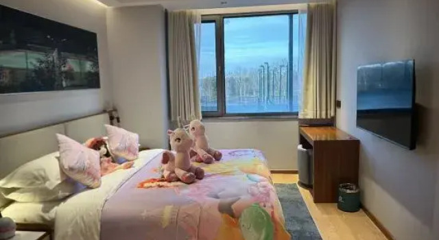 Люкс с красивым видом из окна Central Green Tennis Hotel