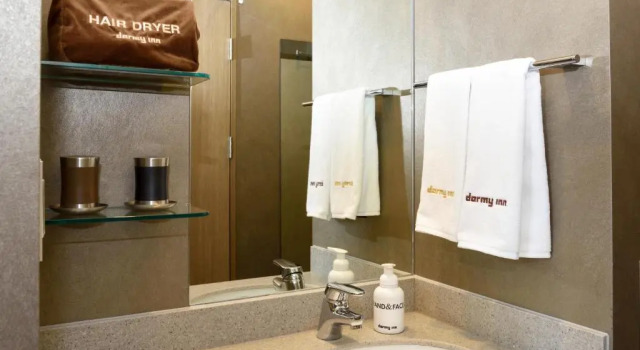 Одноместный номер Dormy Inn SEOUL Gangnam