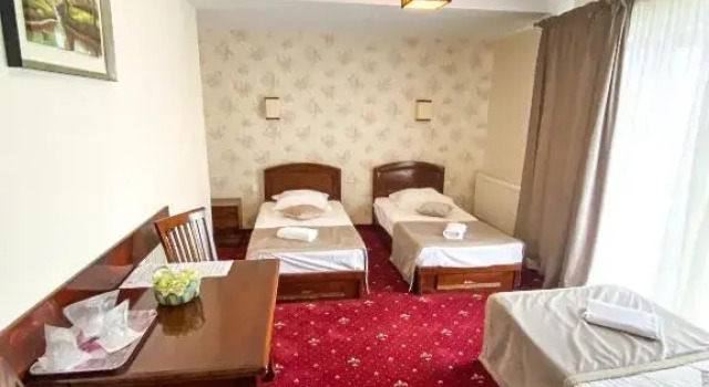 Номер Luxury Pensiunea de Vis