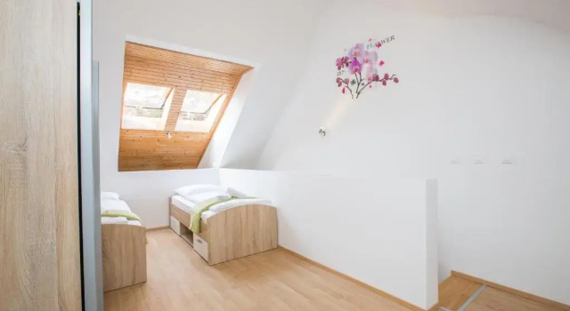 Апартаменты Дуплекс с 2 комнатами Podkoren Apartments