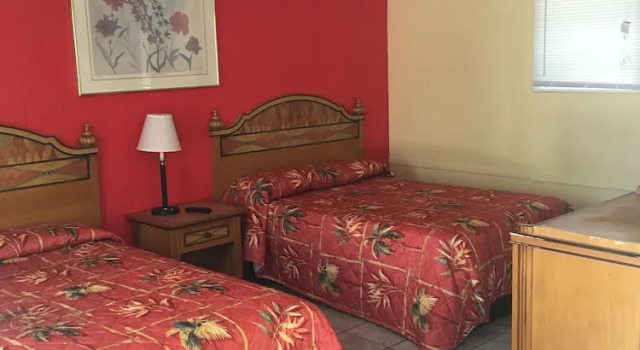 Четырёхместный номер Standard Shelton Motel