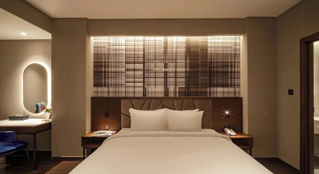 Одноместный номер Deluxe Nhat Ha Lavish Hotel