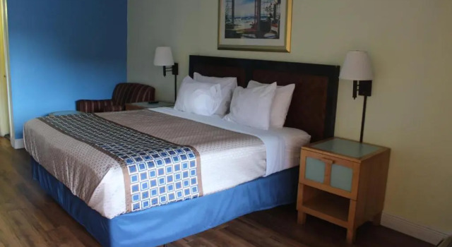 Номер Deluxe Tampa Inn Near Busch Gardens