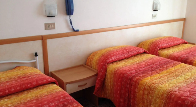 Hotel Apis