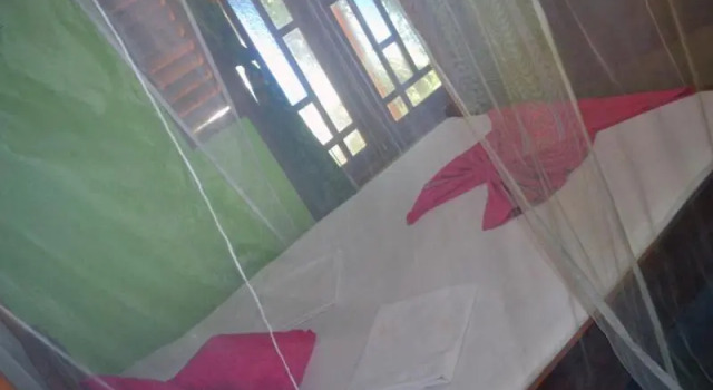 Номер Economy Talalla Freedom Resort