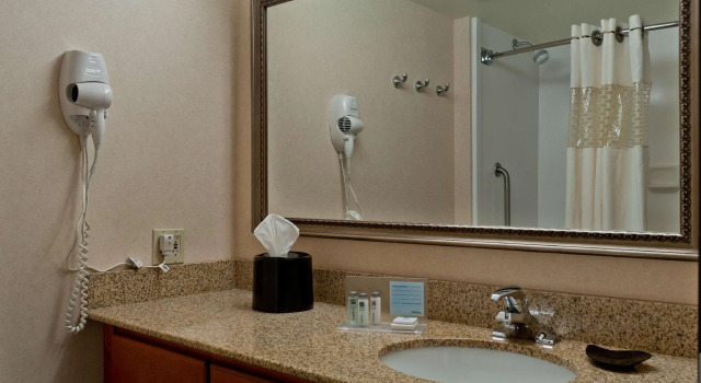 Четырёхместный номер Standard Hampton Inn Phoenix/Anthem
