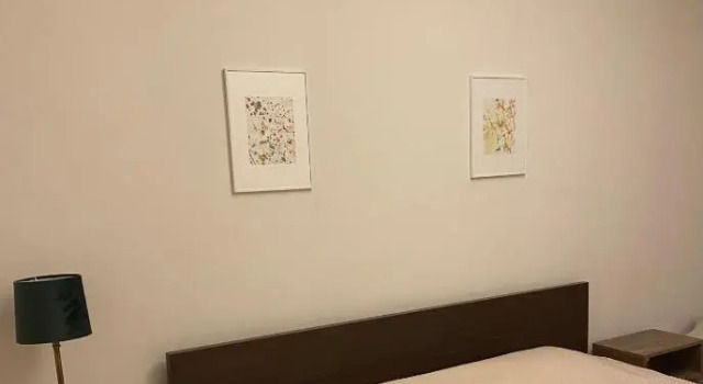 Bakuriani Cozy Villa #4