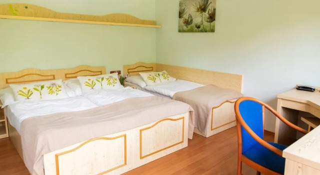 Lesní Lázne Zvánovice, Book Hotel Zvánovice 