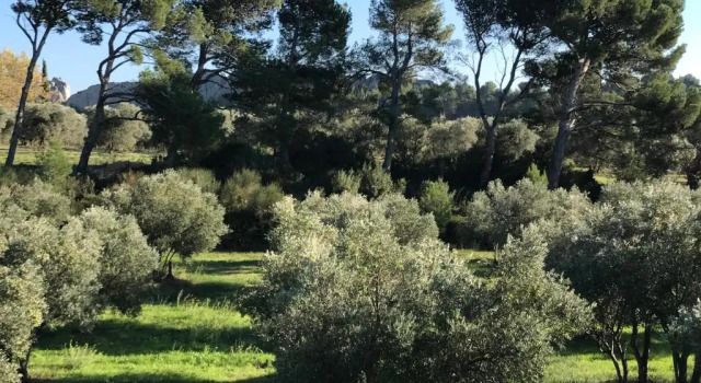 Апартаменты La Bastide des Cyprès
