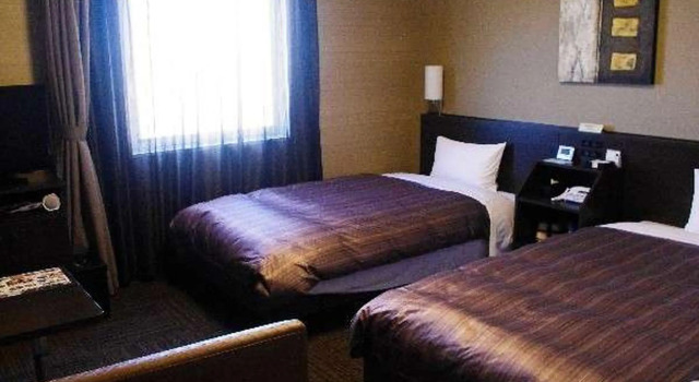 Двухместный номер Comfort Hotel Route Inn Hamamatsu Dealer Dori