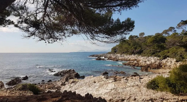 Апартаменты Penthouse Antibes apartment