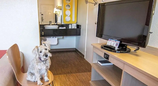 Номер Premium Motel 6-Coeur DAlene, ID