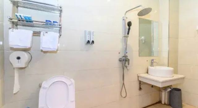 Люкс Business Starfish Theme Hotel