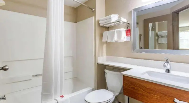 Номер Standard Econo Lodge Inn & Suites Dickson