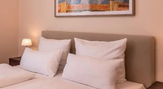 Полулюкс Standard Boutiquehotel Amadeus