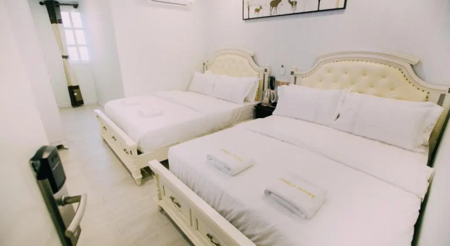 Одноместный номер Hotel Venice