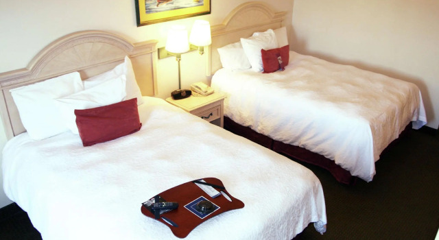 Четырёхместный номер Standard Hampton Inn Seaford