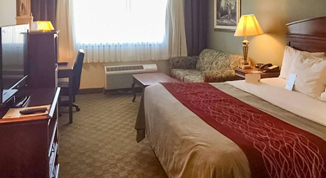 Двухместный номер Standard Comfort Inn Springfield