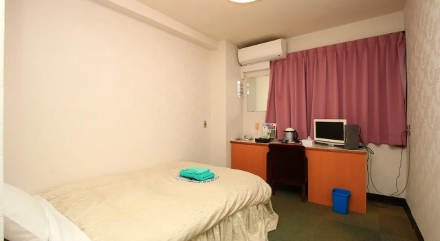Одноместный номер Standard Hotel New Nishida