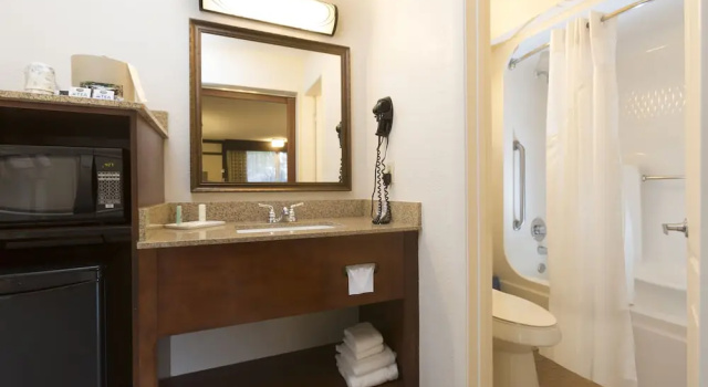 Номер Deluxe Rosen Inn Lake Buena Vista
