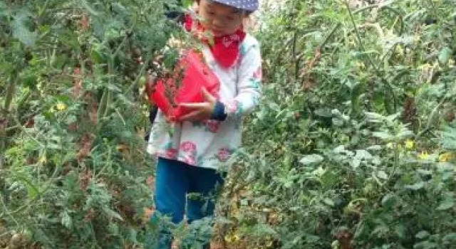 La An Dalat Resort & Spa, Book Ferieresort Da Lat Lam Dong