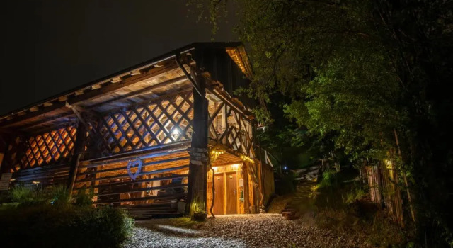 Номер Standard Panorama Glamping Visole