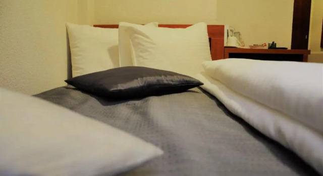 Одноместный номер Standard Hotel Noble