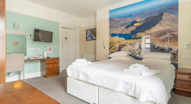 Двухместный семейный номер Standard Padarn Hotel